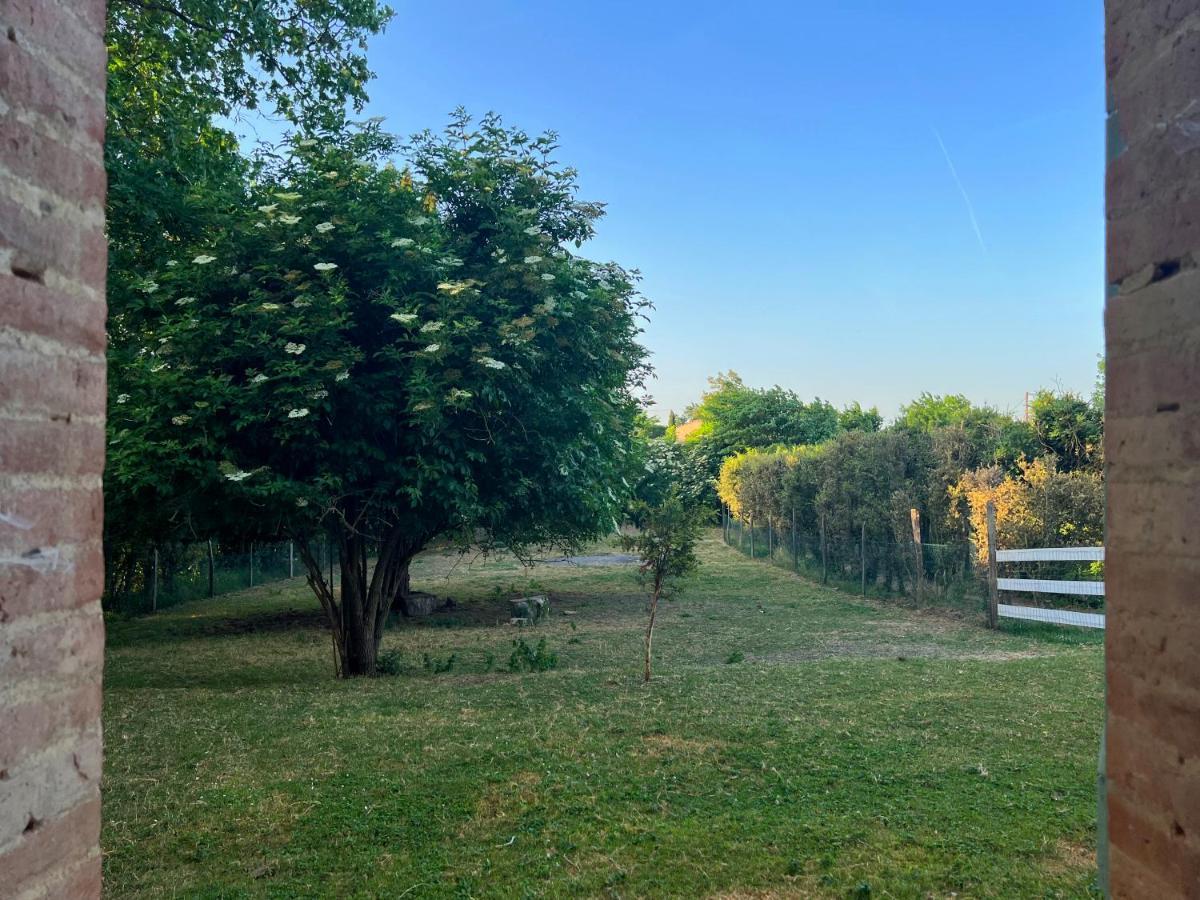 Residence La Salamandre Kamers Rabastens Dış mekan fotoğraf