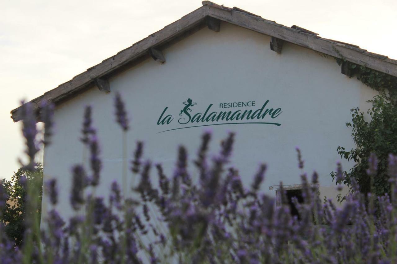Residence La Salamandre Kamers Rabastens Dış mekan fotoğraf